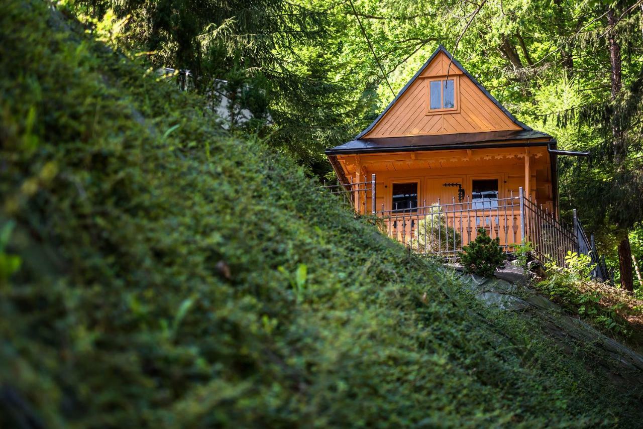 Willa Nad Parkiem Szczawnica Exterior photo